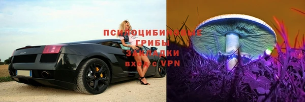 ГАЛЛЮЦИНОГЕННЫЕ ГРИБЫ Белоозёрский