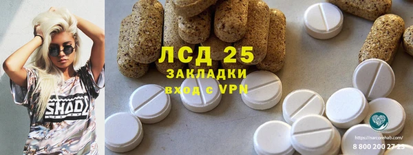 ГАЛЛЮЦИНОГЕННЫЕ ГРИБЫ Белоозёрский