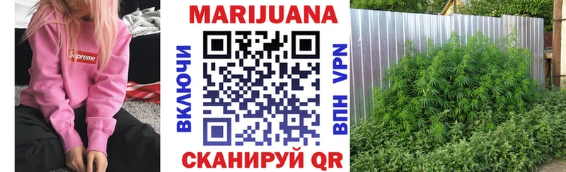 дарнет шоп  Волхов  Марихуана OG Kush 